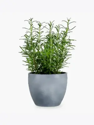 product-image-5_optimized